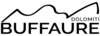 Bufaure 2021  2
